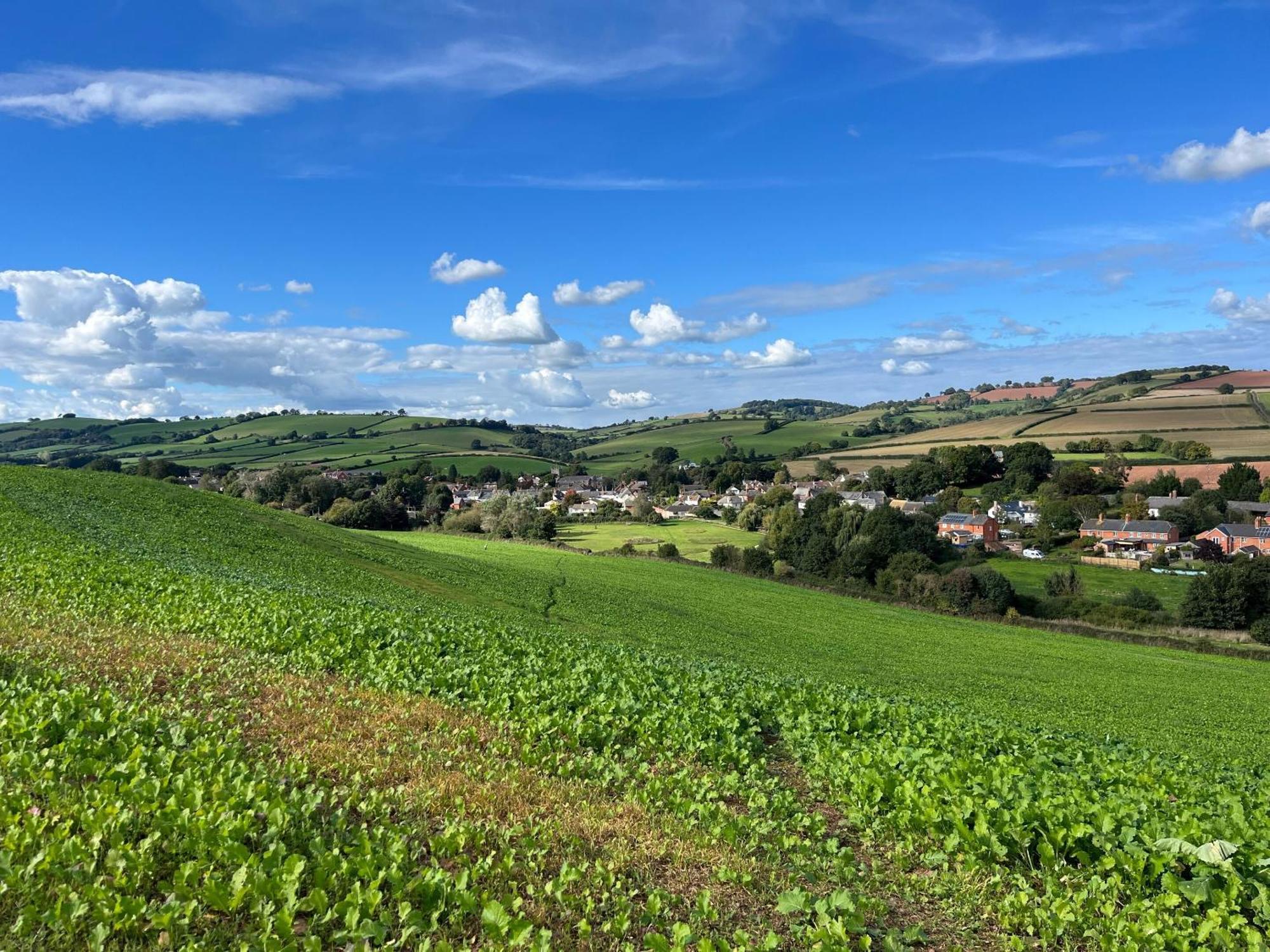 Thorverton Arms ห้อง รูปภาพ